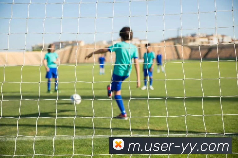 多媒体互动体验