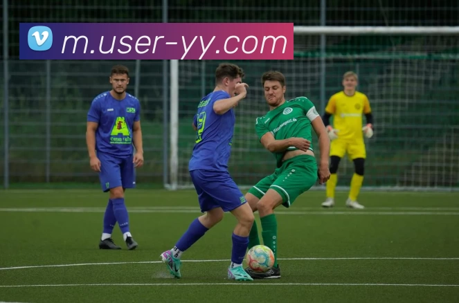 易游体育APP 高清赛事图